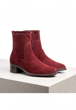 LLOYD ANKLE BOOTS Naisten Nilkkurit Punainen | PVI271640