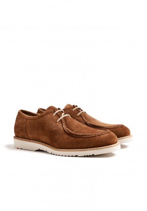 LLOYD LEVI Miesten Smart shoes Ruskea | GXO092518