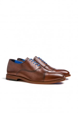 LLOYD ROB Miesten Smart shoes Ruskea | SWV359046