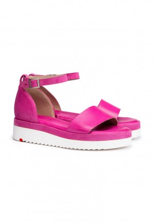 LLOYD SANDALS Naisten Sandaalit Pinkki | HKA486057