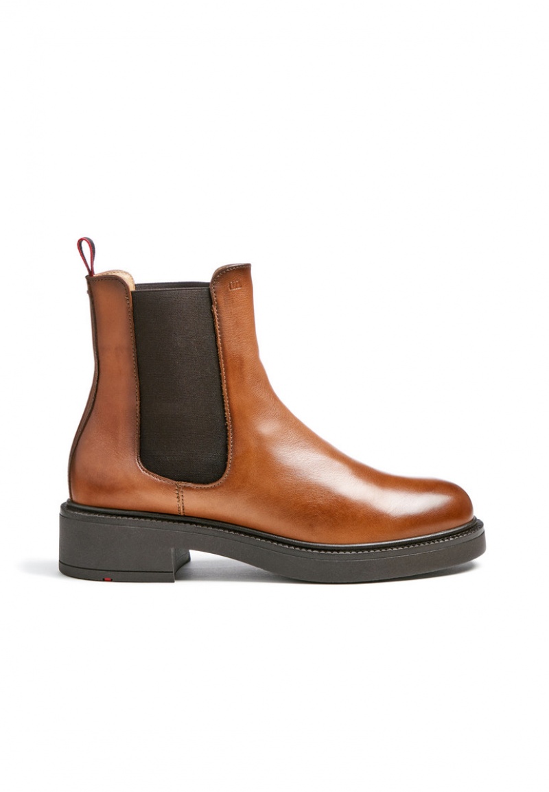 LLOYD ANKLE BOOT Naisten Nilkkurit Ruskea | IFO816905