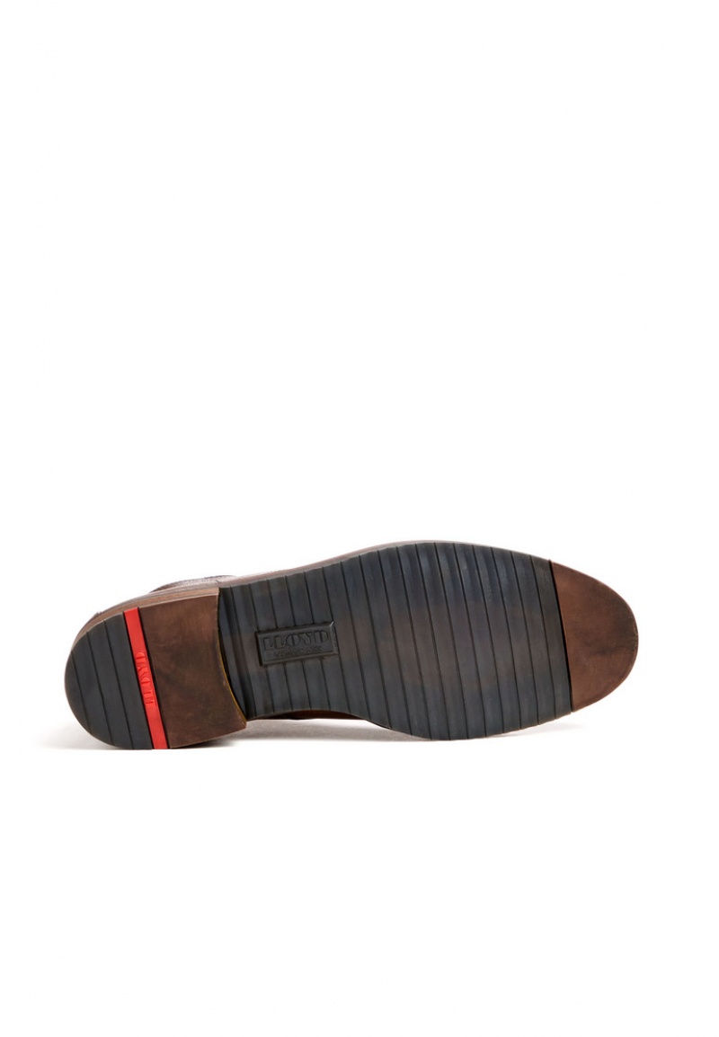 LLOYD DUKE Miesten Smart shoes Ruskea | BLZ325847