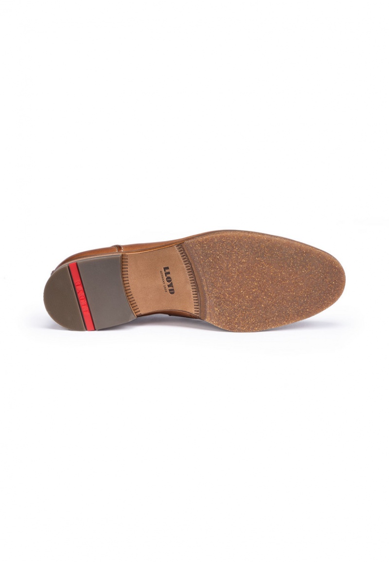 LLOYD LEANDRO Miesten Smart shoes Ruskea | APS897630