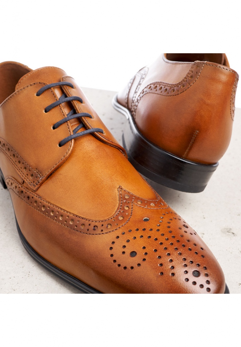 LLOYD MORTON Miesten Smart shoes Ruskea | KWL893175