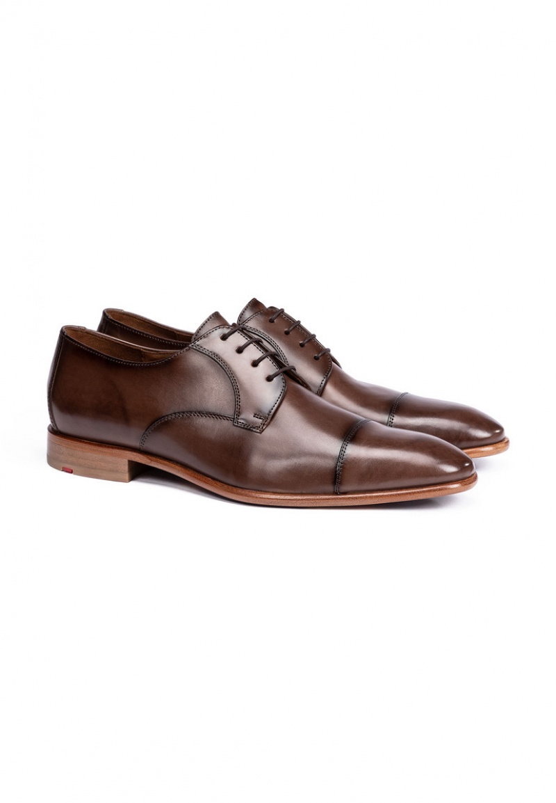 LLOYD NEWPORT Miesten Smart shoes Ruskea | VBG618094