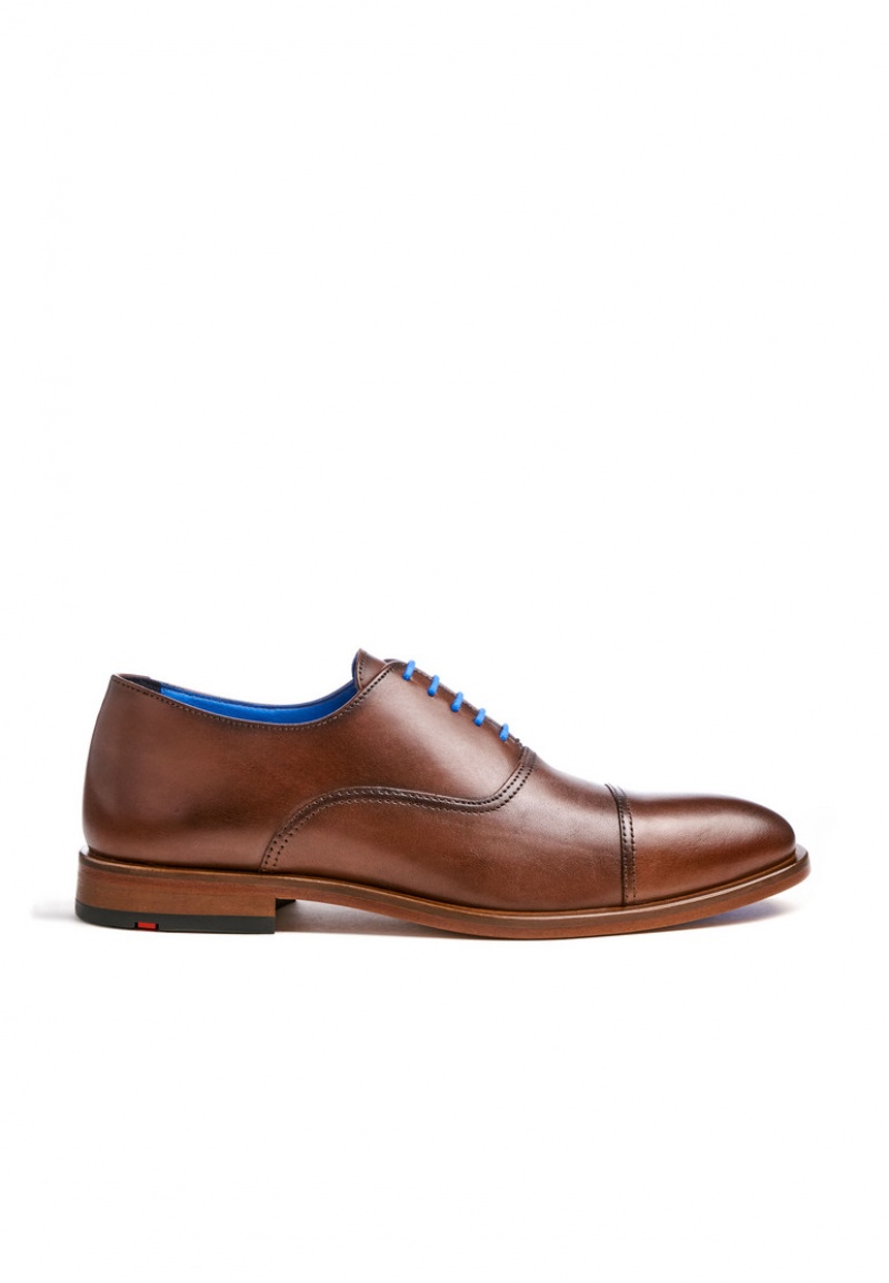 LLOYD ROB Miesten Smart shoes Ruskea | SWV359046