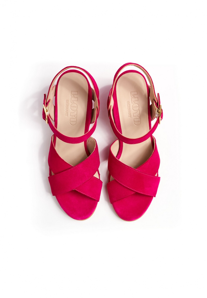 LLOYD SANDALS Naisten Sandaalit Pinkki | JAY130472