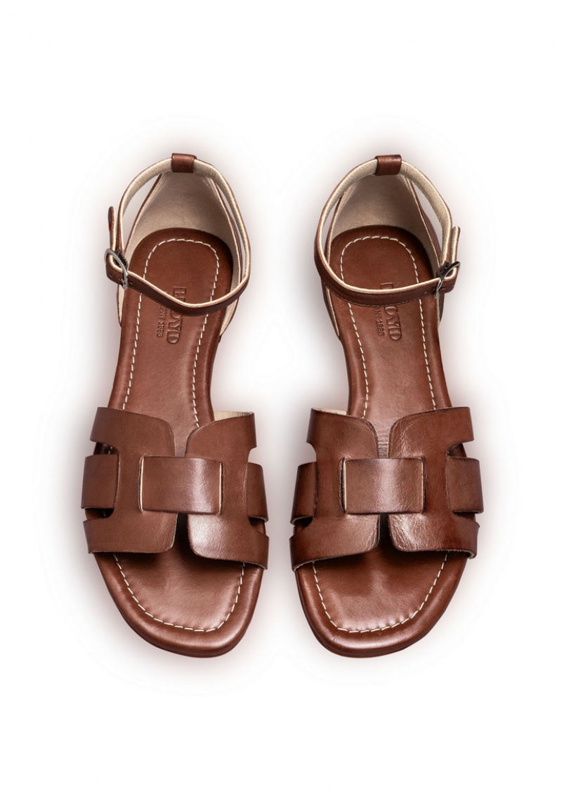 LLOYD SANDALS Naisten Sandaalit Ruskea | UTB431708