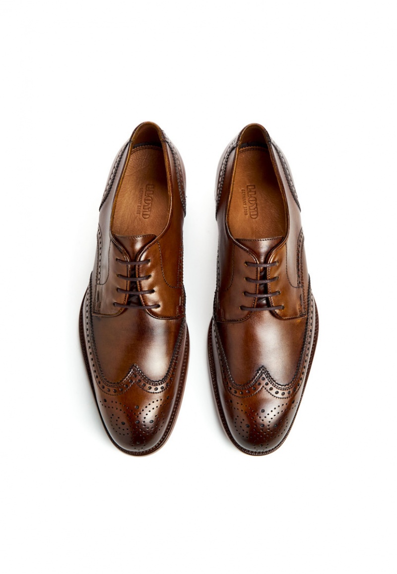 LLOYD STAFFORD Miesten Smart shoes Ruskea | FEB378124