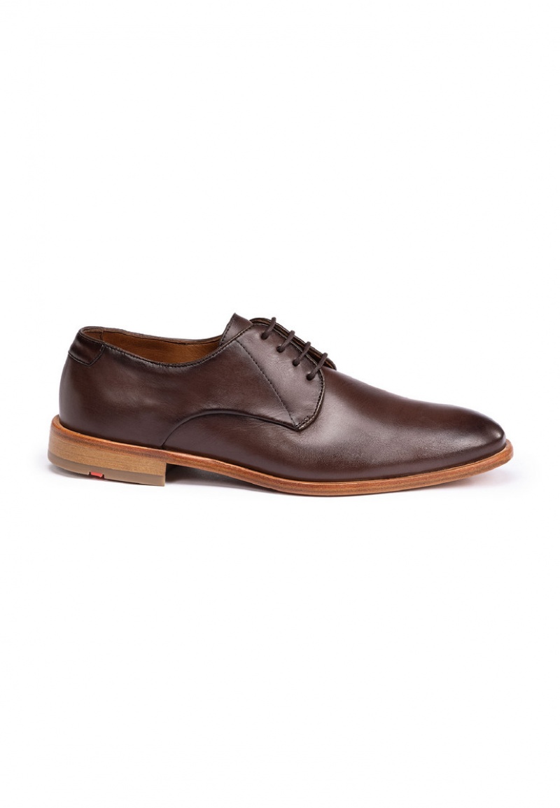 LLOYD TERRY Miesten Smart shoes Ruskea | XGW054369