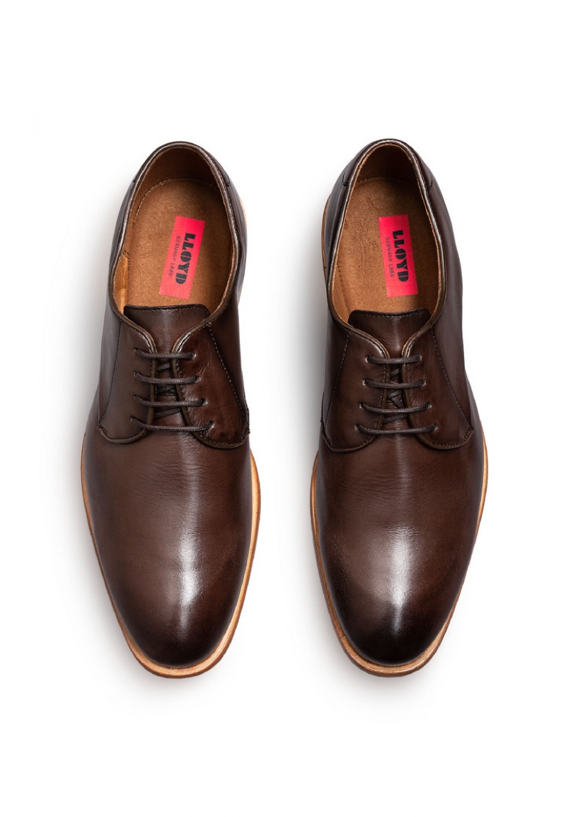 LLOYD TERRY Miesten Smart shoes Ruskea | XGW054369