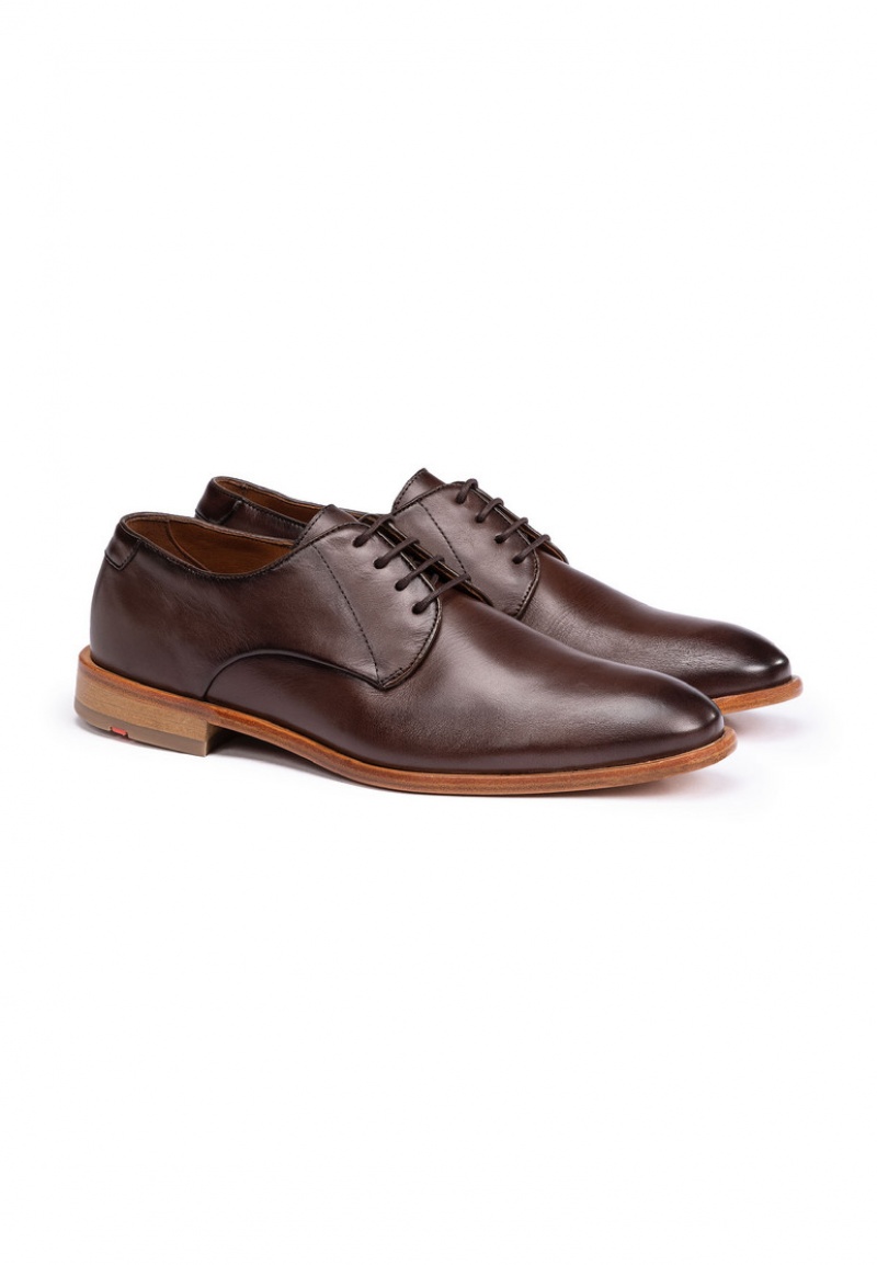 LLOYD TERRY Miesten Smart shoes Ruskea | XGW054369