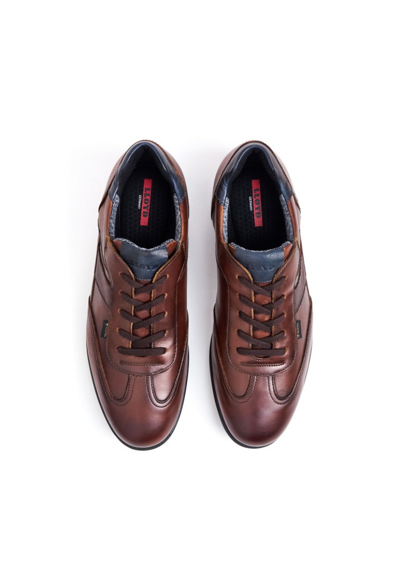 LLOYD VERNON Miesten Smart shoes Ruskea | GUD246897